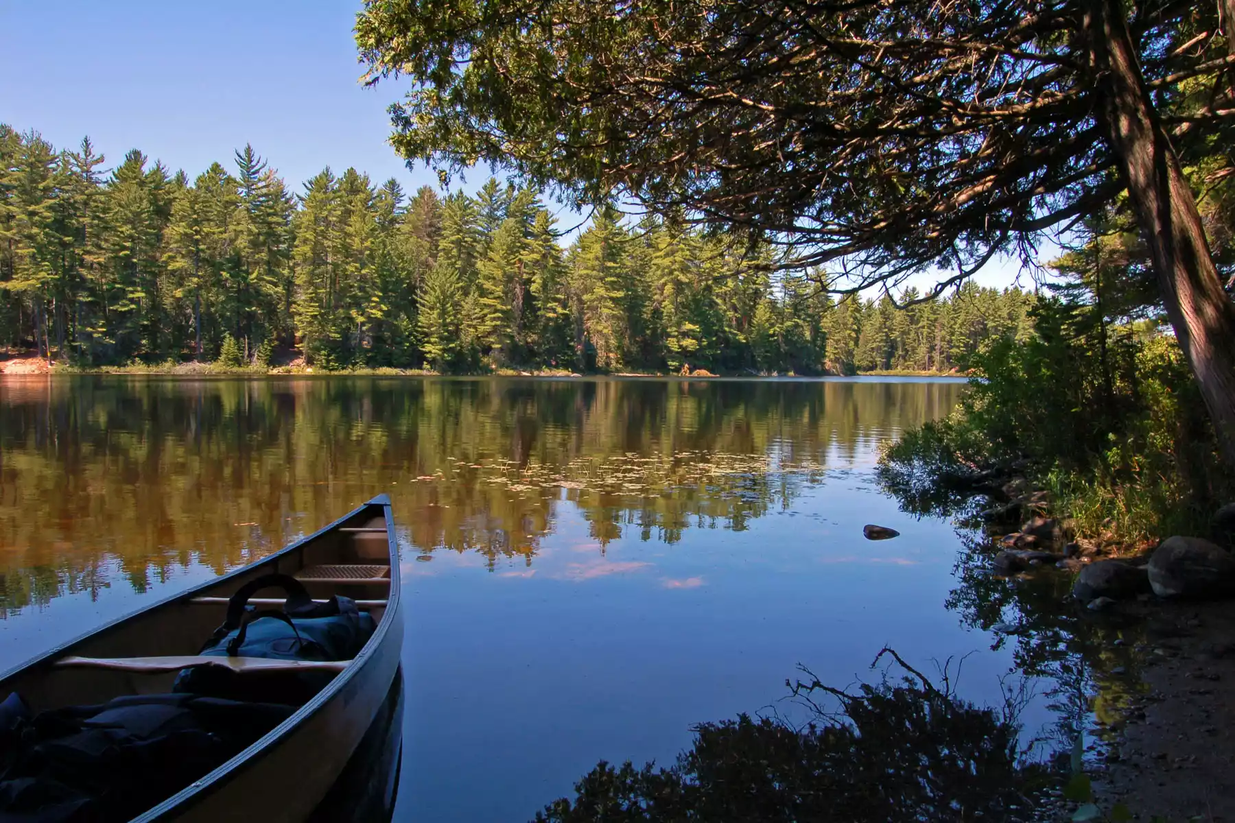 Algonquin Muskoka Vacations Algonquin Muskoka Vacations