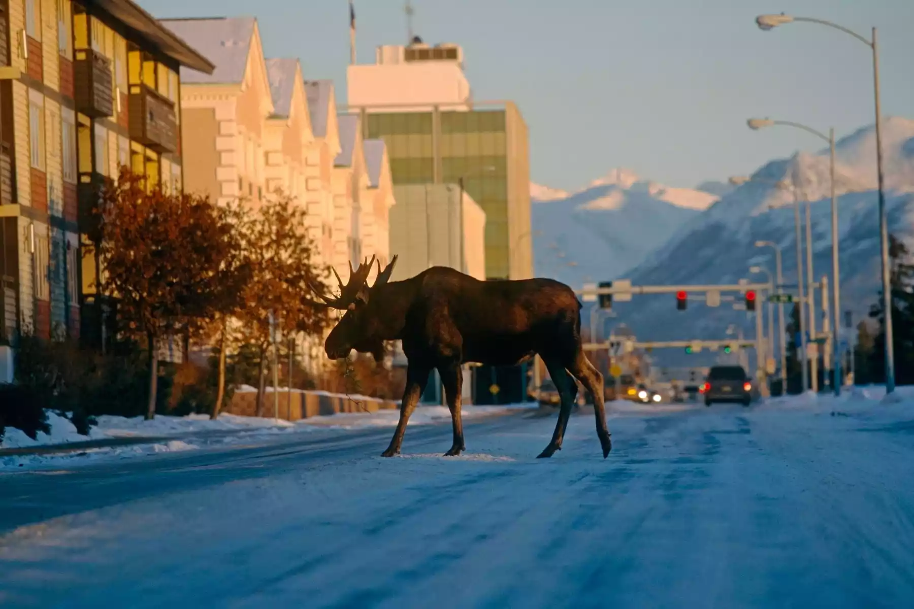 Anchorage Vacations | Alaska Tours Anchorage | Anchorage Vacations Day Tours Road Trips