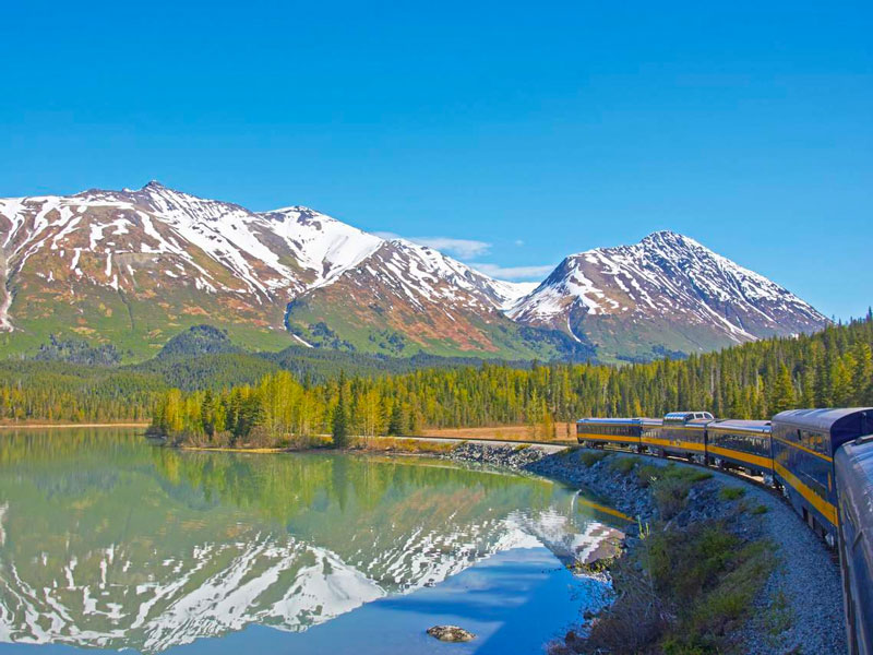 Anchorage Day Trips Bears Trains Icebergs Tour 1