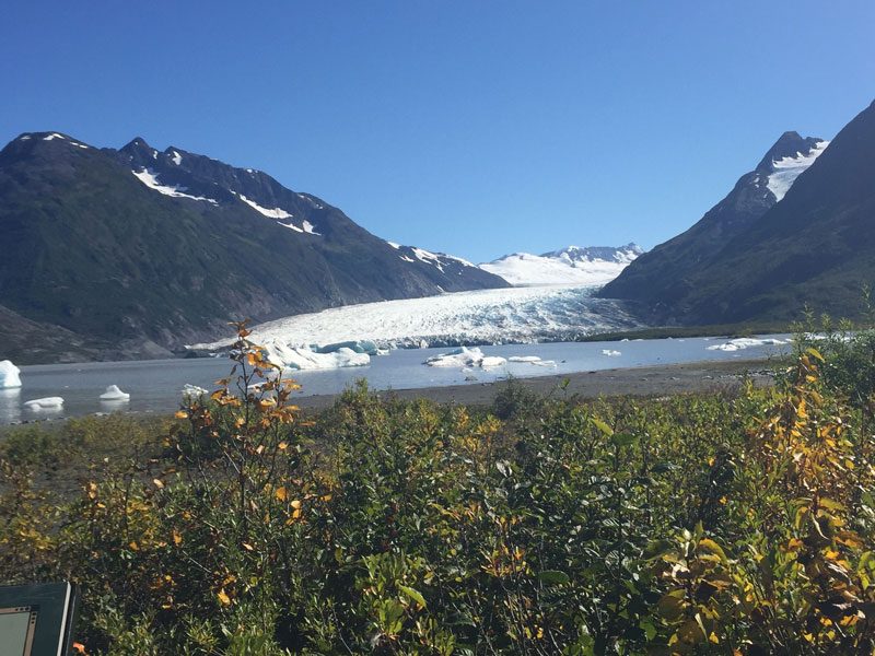 Anchorage Day Trips Bears Trains Icebergs Tour 2