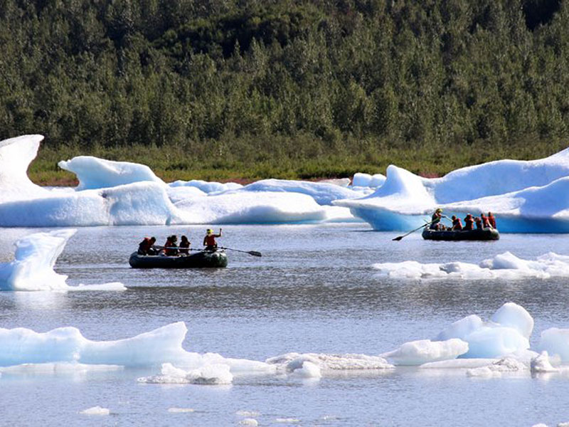 Anchorage Day Trips Bears Trains Icebergs Tour 4