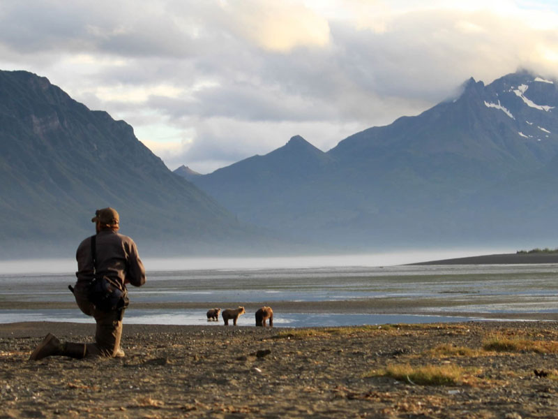 Anchorage Day Trips | Chinitna Bay Bear Viewing Flight Safari