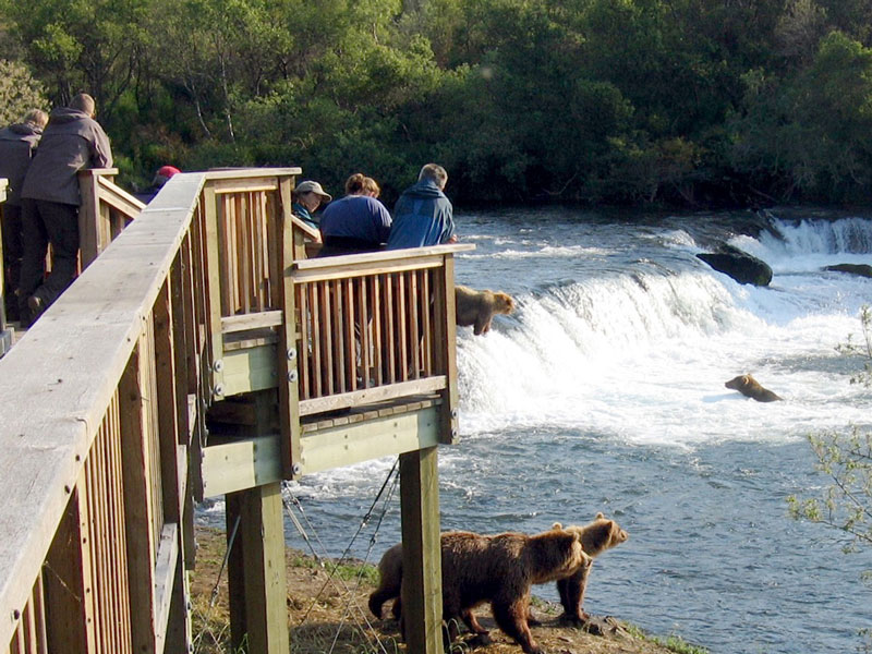 Anchorage Day Trips Katmai National Park Bear Viewing Flight Safari 2