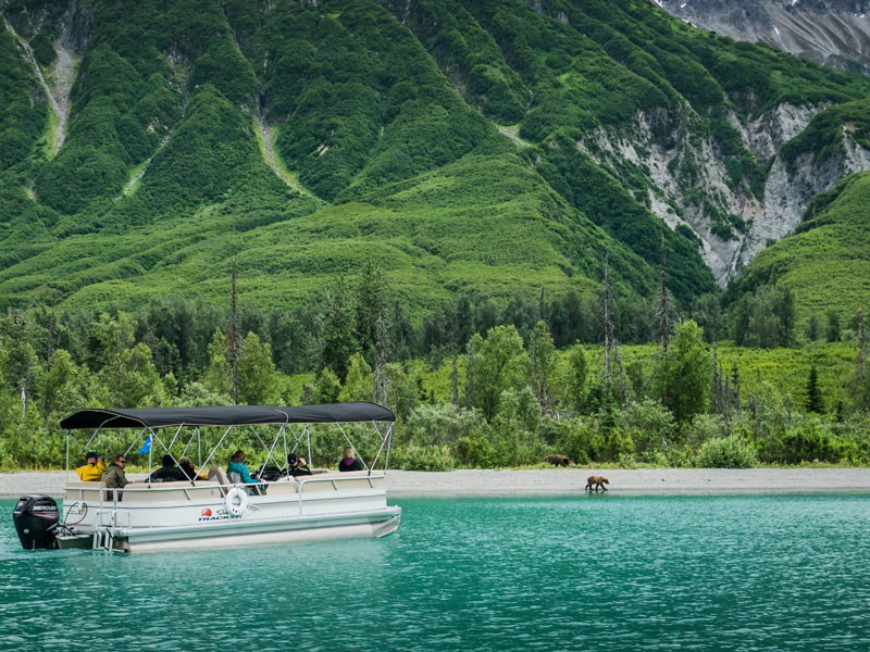 Anchorage Day Trips | Lake Clark National Park Bear Viewing Safari