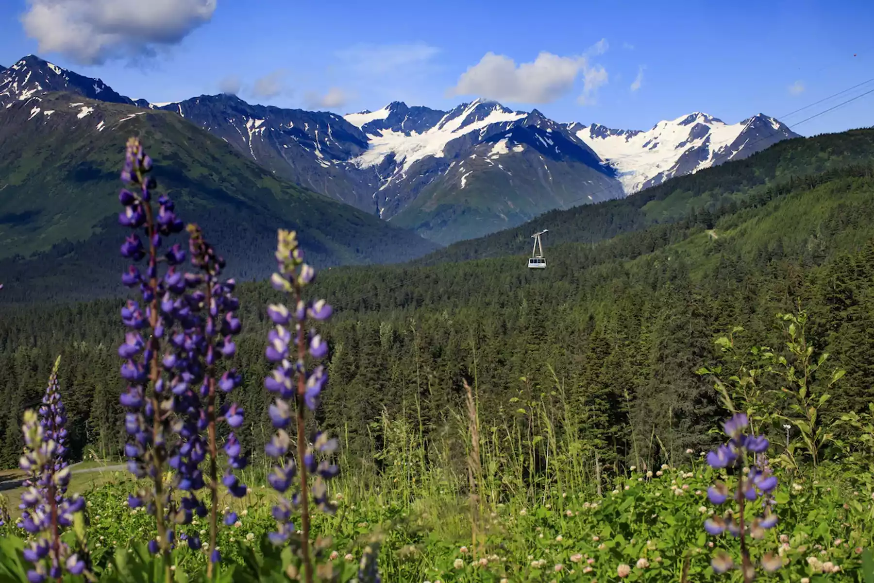 Girdwood | Alyeska Day Tours & Activities Girdwood | Alyeska Day Tours & Activities