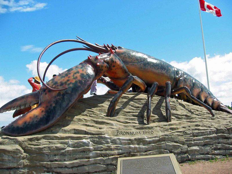 Atlantic Maritimes Small Group Tour Wonders of the Bay of Fundy 4