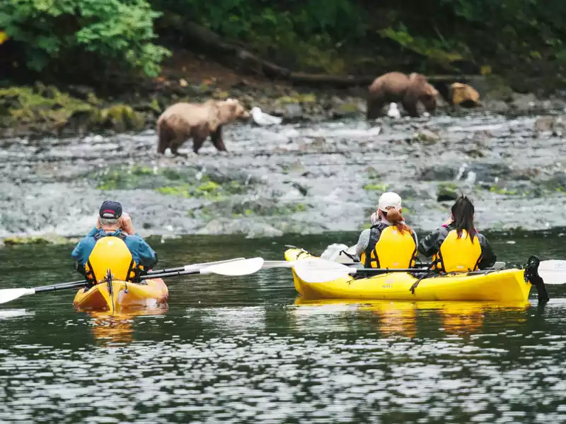 Bears-while-kayaking