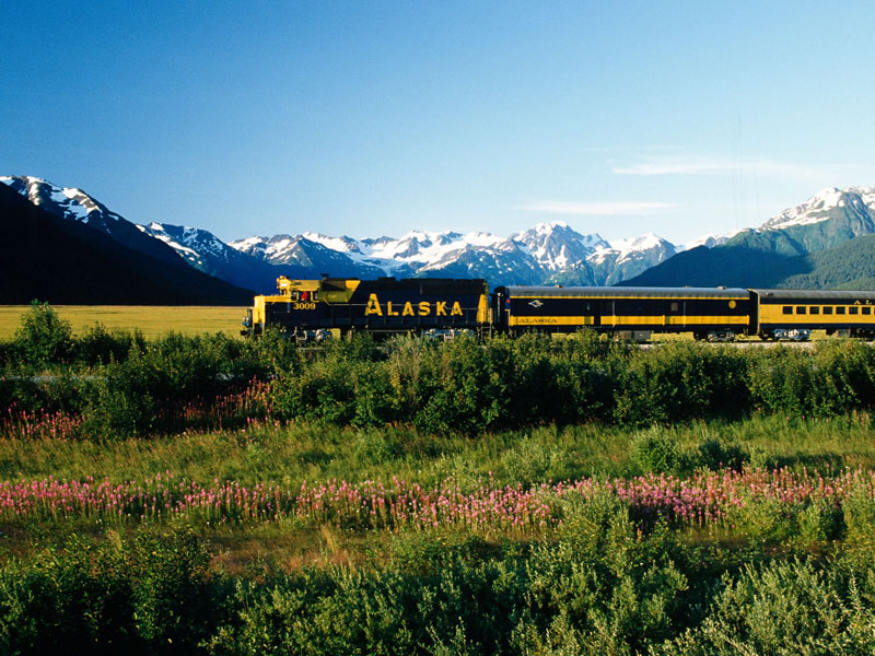 Best of Alaska Rail Bears Glaciers First Time Favourites 4