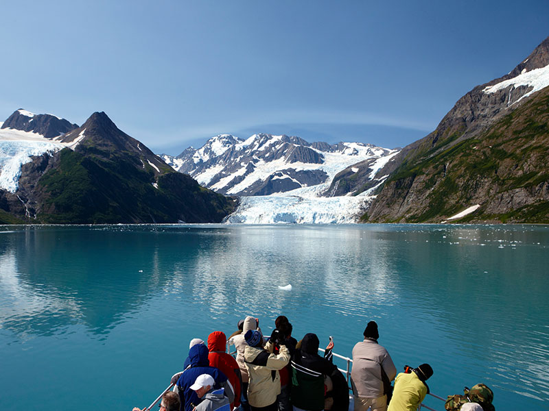 Best of Alaska Rail Bears Glaciers First Time Favourites 7