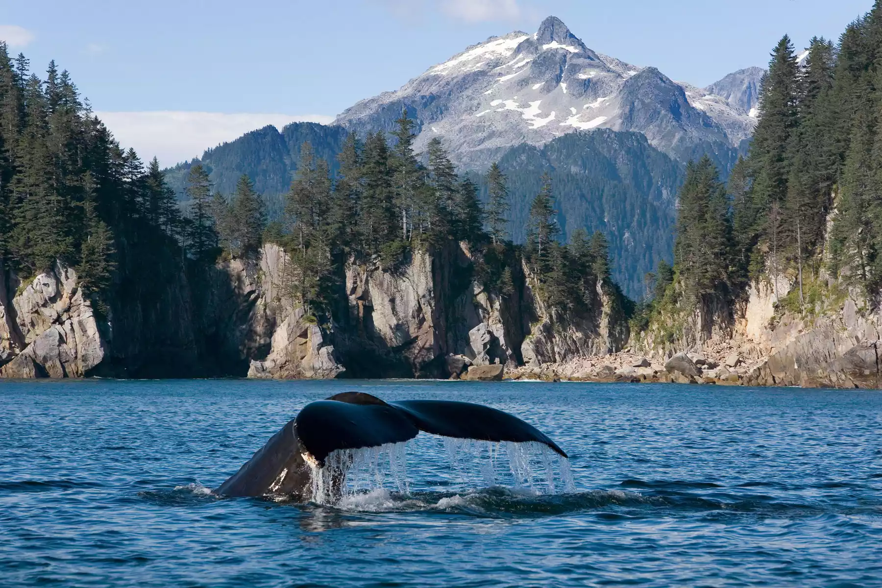 Kenai Fjords National Park Cruise Kenai Fjords National Park Cruise