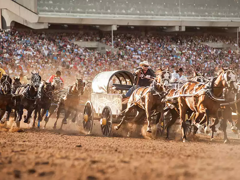 calgary-stampede-and-the-canadian-rockies-train-tour-1-1646681642