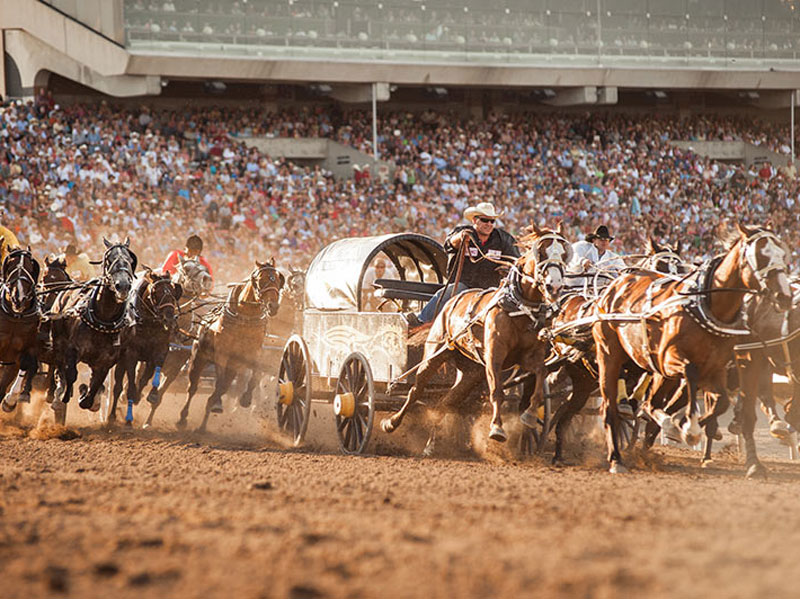 Calgary Stampede and the Canadian Rockies Train Tour | VIA Rail