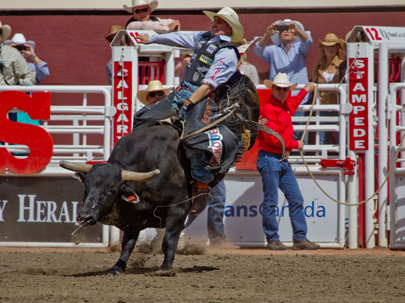 Calgary Stampede and the Canadian Rockies Train Tour 2