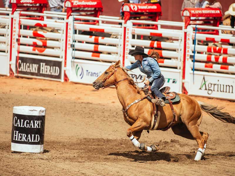 Calgary Stampede Package For 2021 1