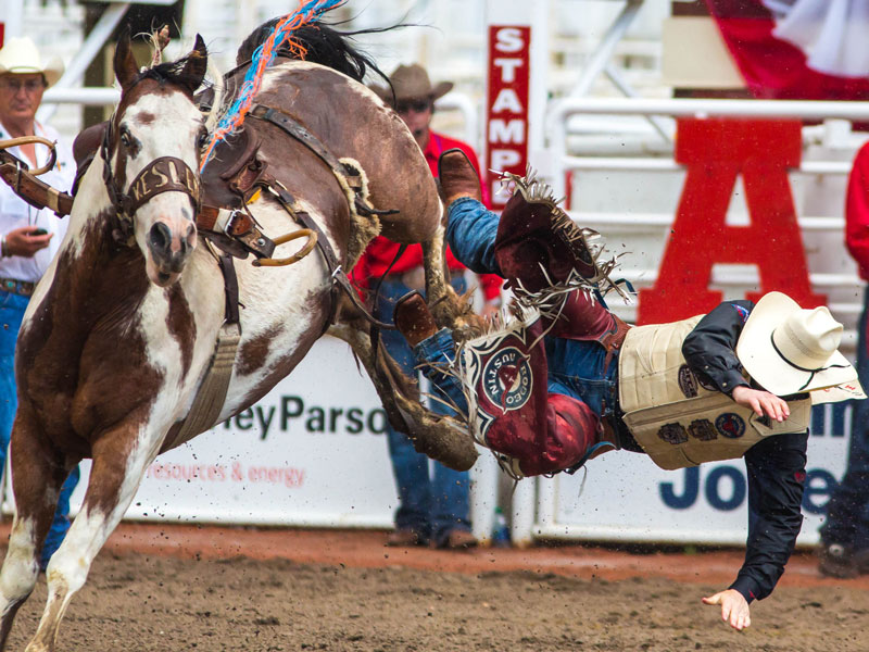 Calgary Stampede Package For 2021 2