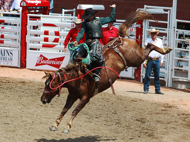 Calgary Stampede Train through the Canadian Rockies