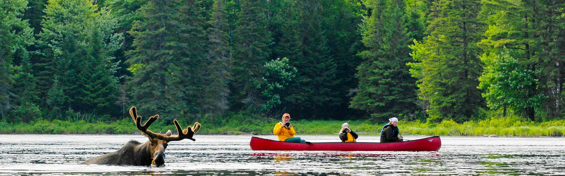 Algonquin Muskoka Vacations