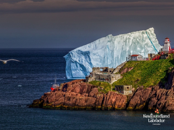 Newfoundland and Labrador