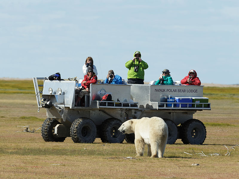 Canada Polar Bear Tour Hudson Bay Odyssey 6