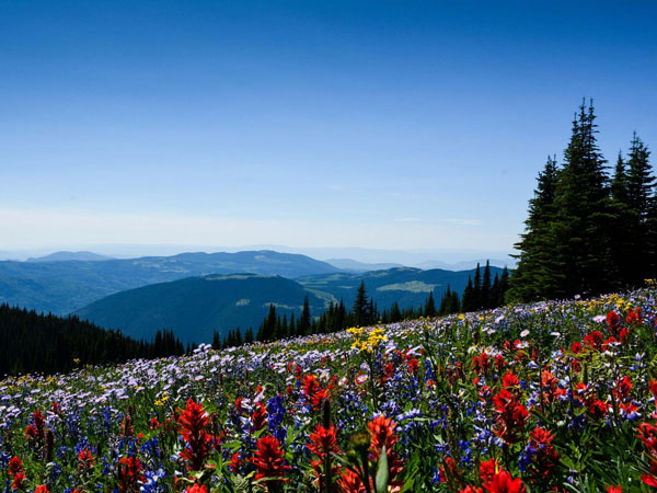 Sun Peaks Resort