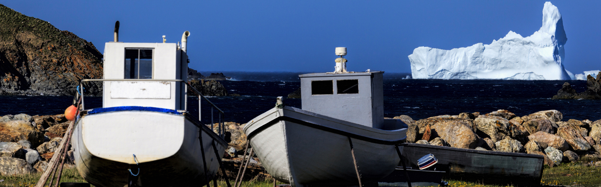 Newfoundland Road Trips