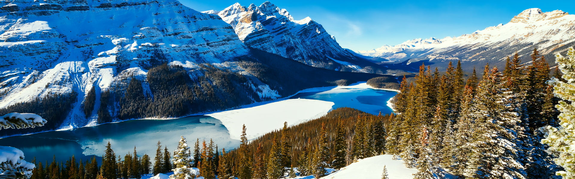 Canadian Rockies Winter Train Trips | Peyto Lake Icefield Parkway