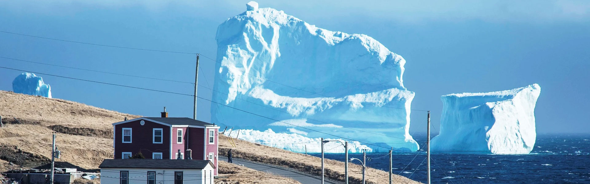 Newfoundland Road Trips