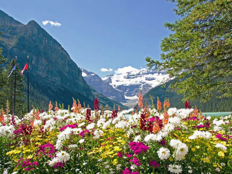 Canadian Railways the Continental to the Rockies Via Rail 6