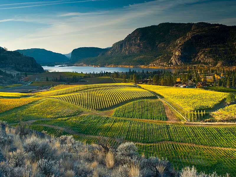 Canadian Rockies Peaks Okanagan Grapes Driving Tour 1