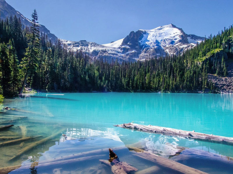 Canadian Rockies Scenic Delights by Road Rail 2