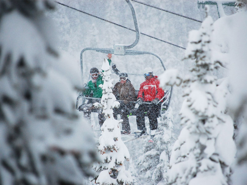 Canadian Rockies Ski Safari 8