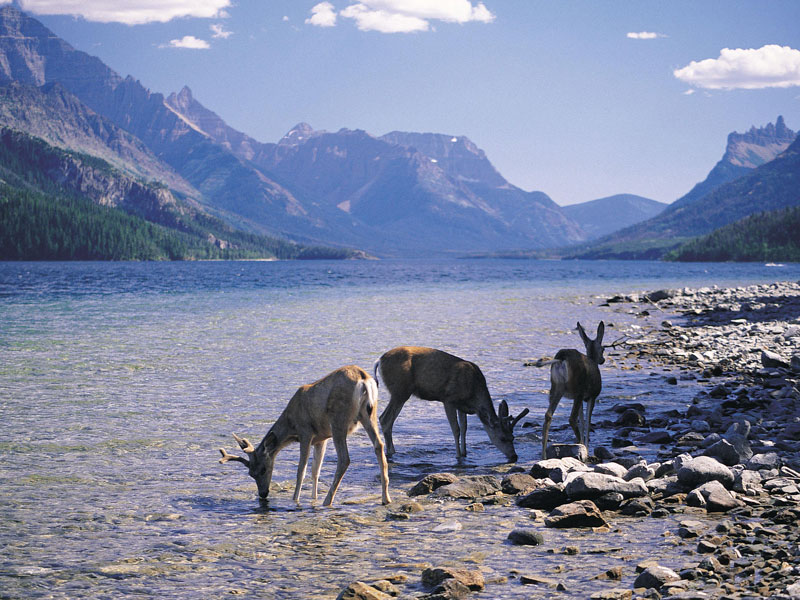 Canadian Trails Rail Across Canada 4