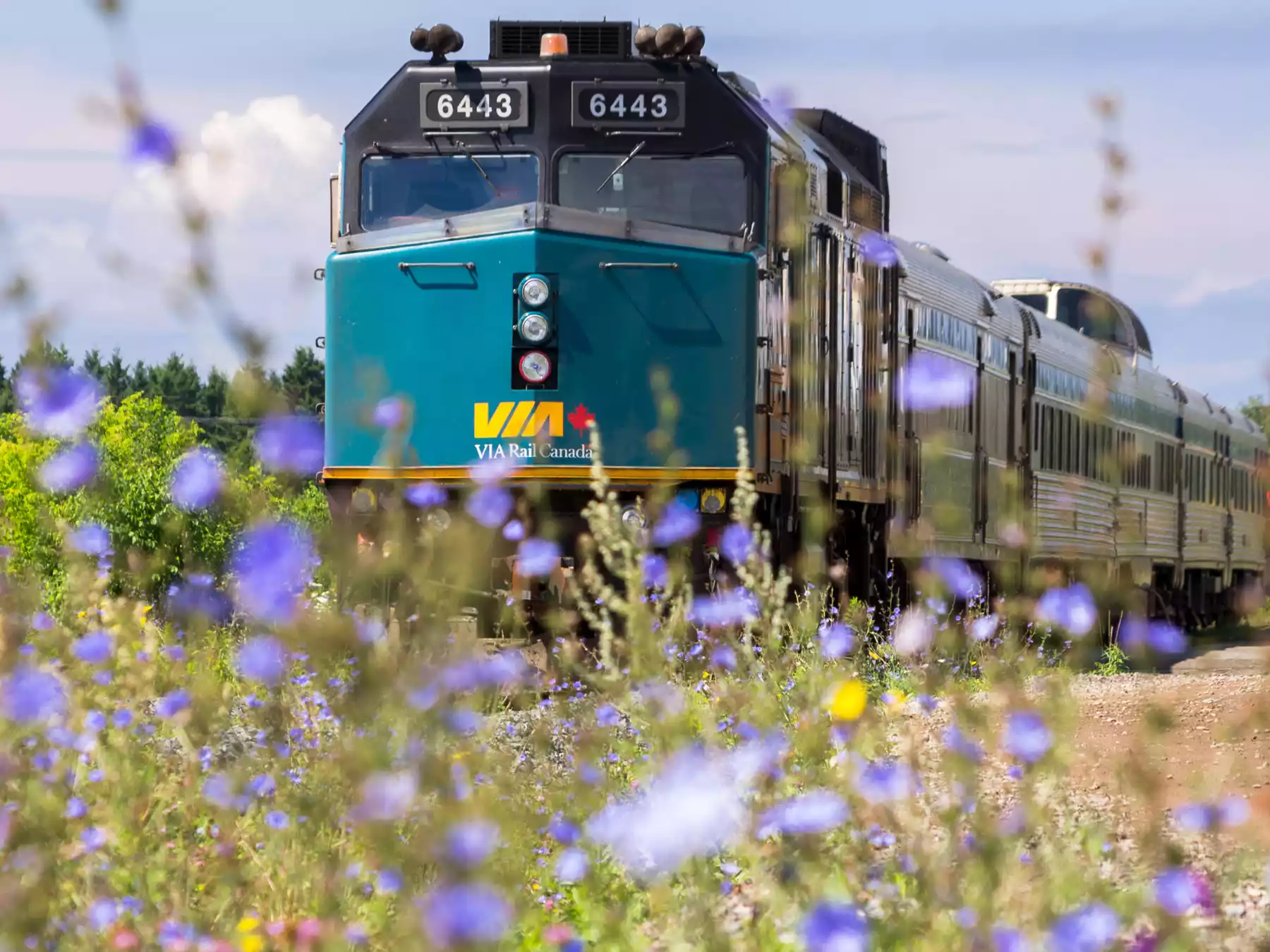 Canadian Rockies by Train, Drive or Both ?