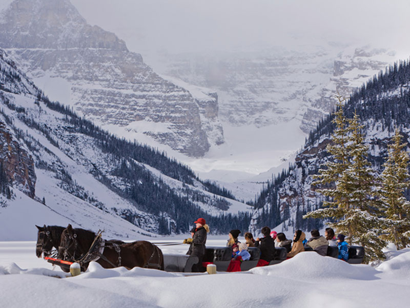 Christmas in Banff At the Castle Fairmont Banff Springs Hotel 6