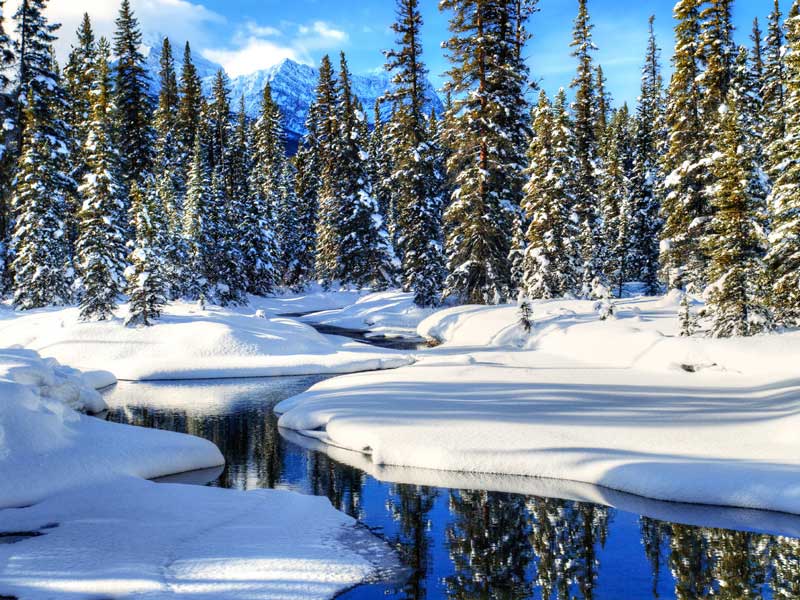 Christmas in the Canadian Rockies 6