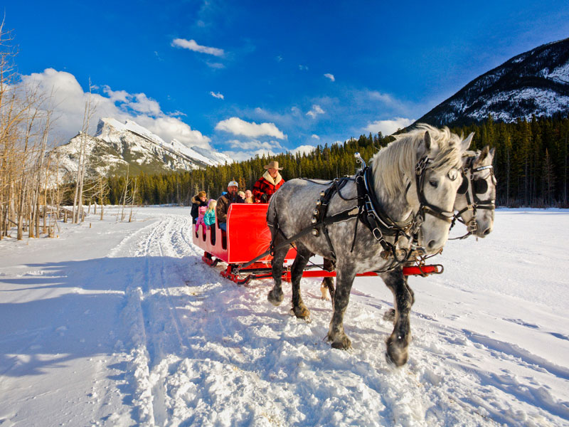 Christmas in the Canadian Rockies 8