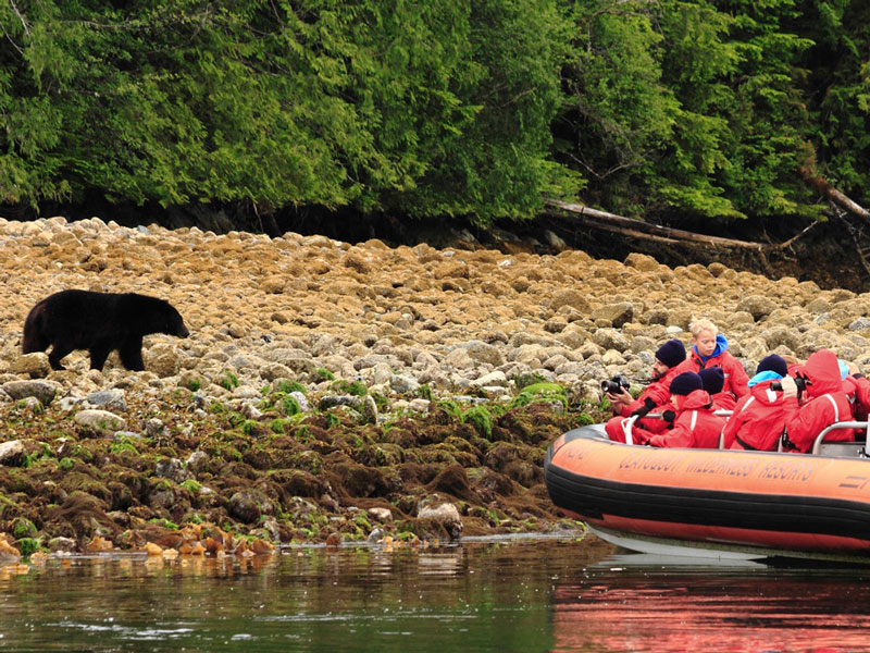 Clayoquot Wilderness Lodge Canada Luxury Lodges 10