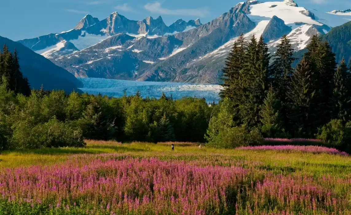 Discover The Wonders of Alaska Discover The Wonders of Alaska