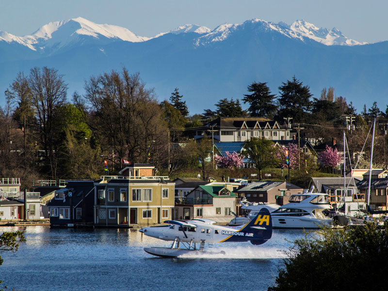 Discover Victoria with Whales and Floatplane 4