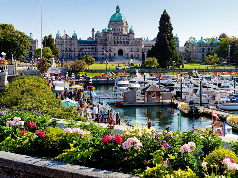 Discover Victoria with Whales and Floatplane 6