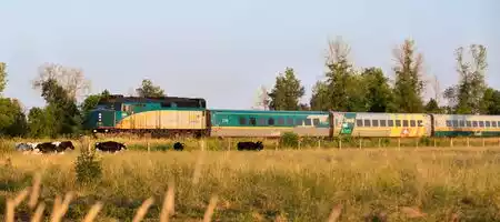 Eastern Canada Rail Vacation: Ontario, Quebec, & Atlantic Canada by Train