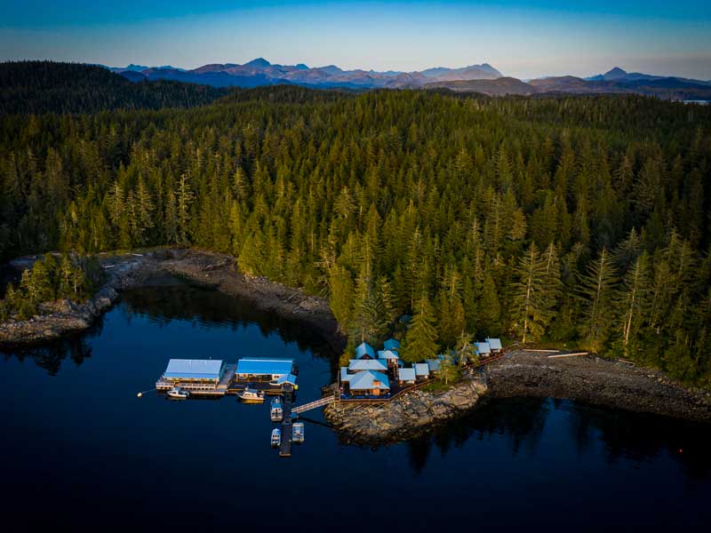 Farewell Harbour Lodge Whale Watching Grizzly Bear Viewing 3