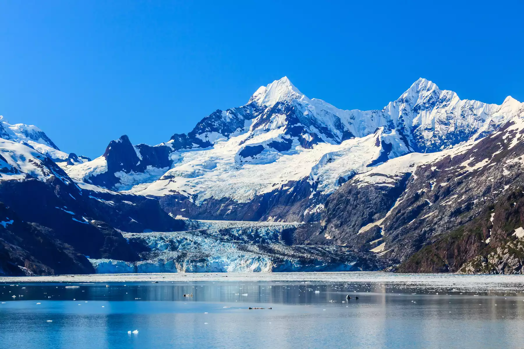 Glacier Bay Alaska Vacations Glacier Bay Alaska Vacations