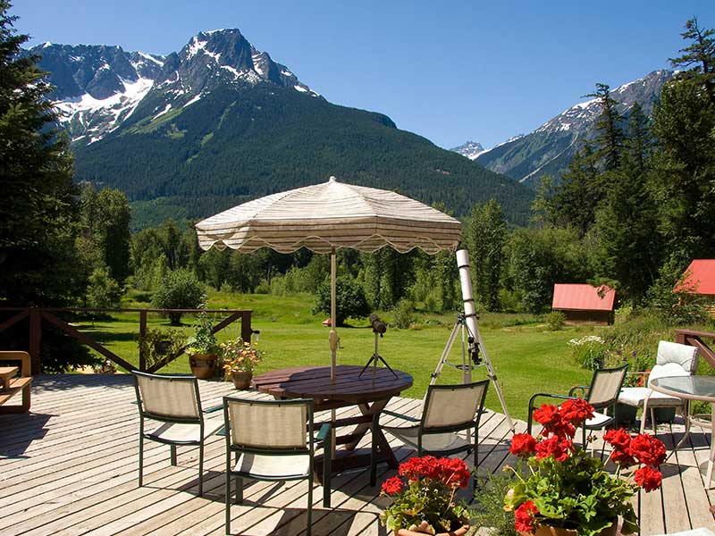 Grizzly Bears At Tweedsmuir Park Lodge 7