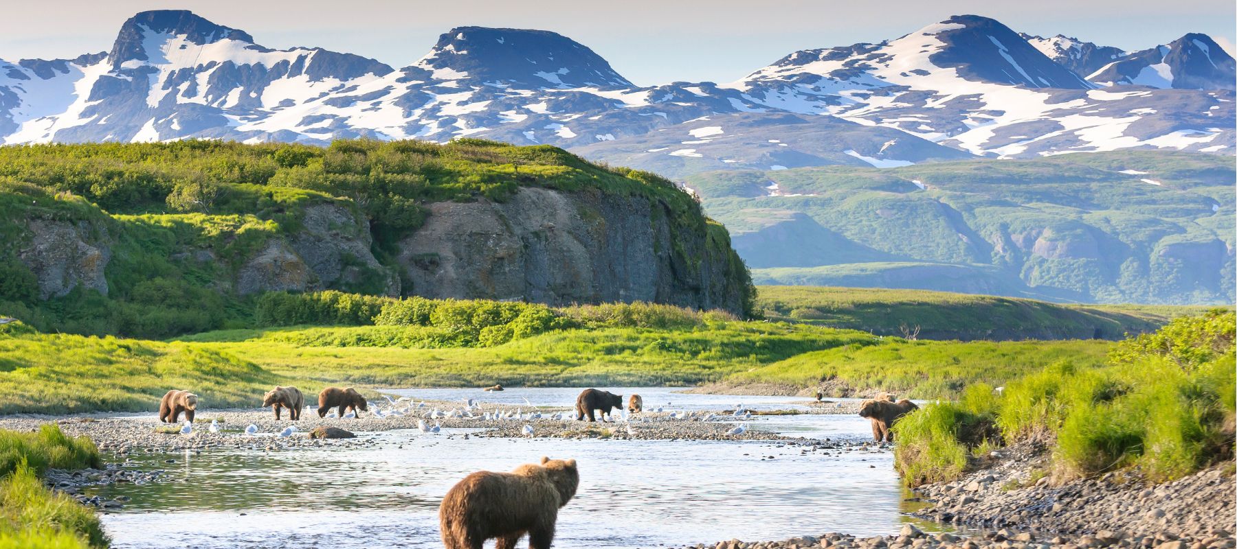 The Best Trips to Alaska Crafted by Travel Experts