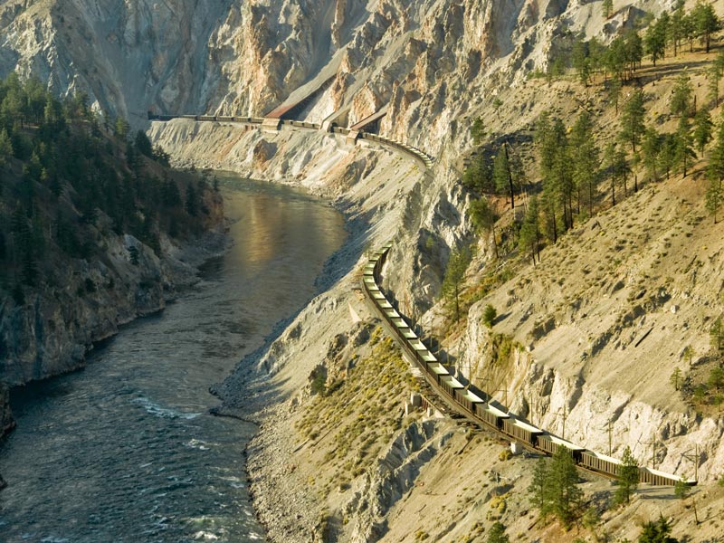 Grizzly Bears the Canadian Rockies Train Vacation 6