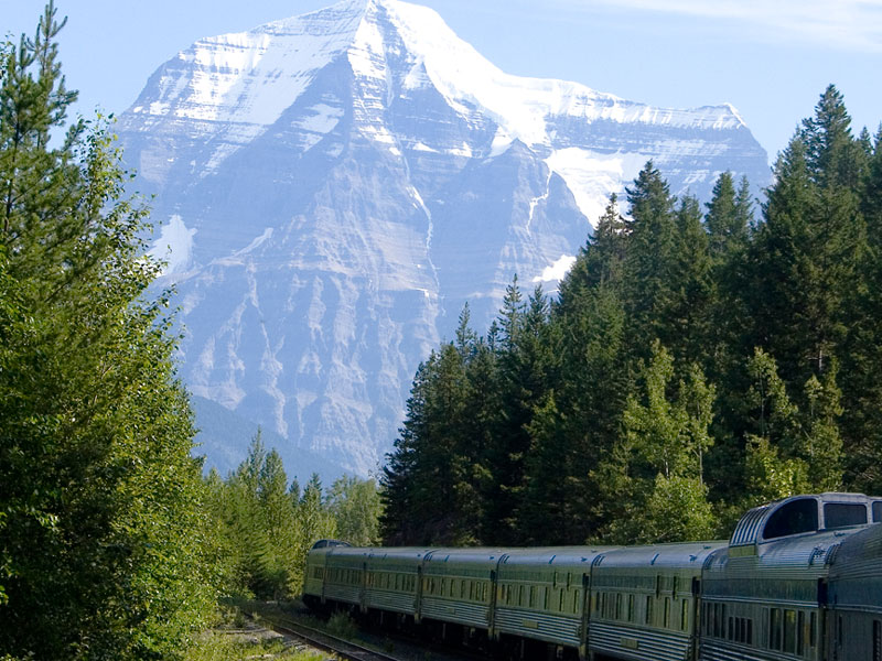 Grizzly Bears the Canadian Rockies Train Vacation 7