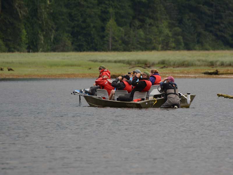 Grizzly Bears Tours of Knight Inlet Canada 4