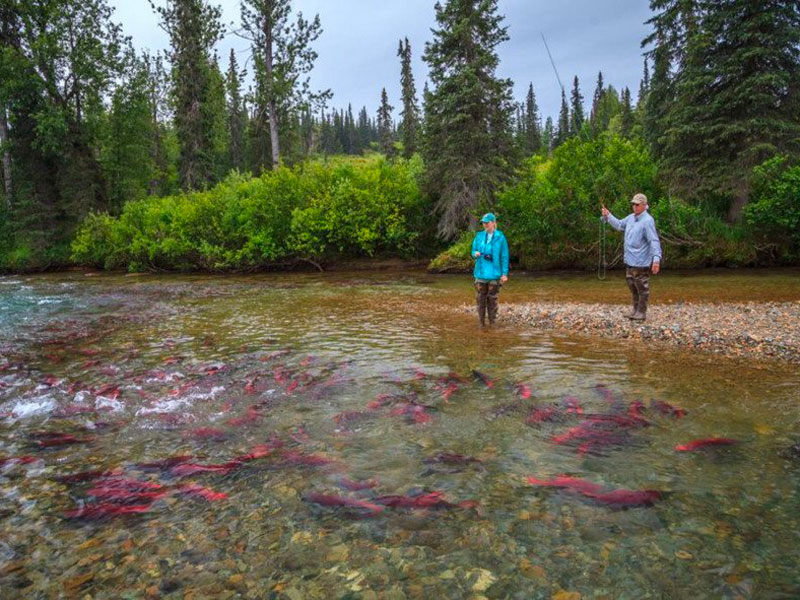 Guided Fishing Adventure 1