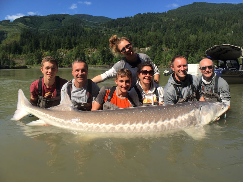 Guided Sturgeon Fishing Package Fraser River Fishing Lodge 1